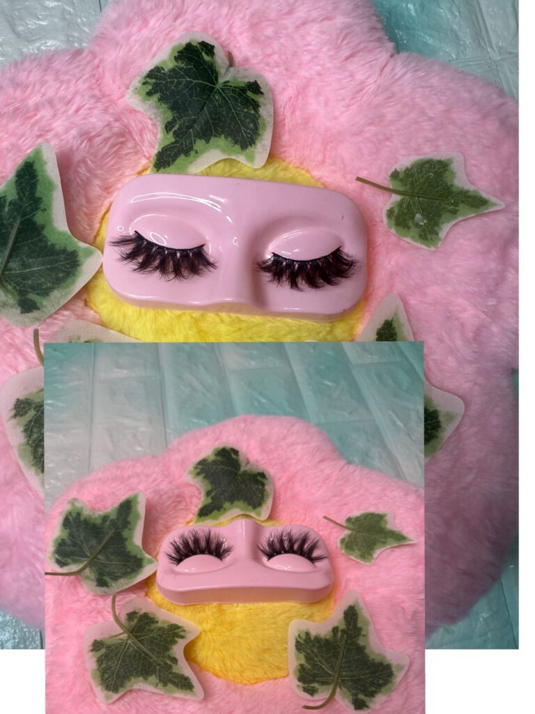 WhatsApp Image 2026-02-08 at 10.28.24 AM (2)