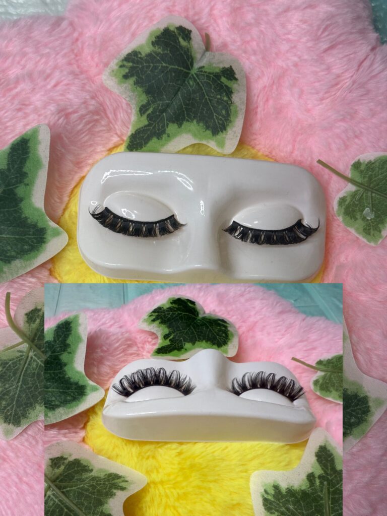 WhatsApp Image 2026-02-08 at 10.28.24 AM